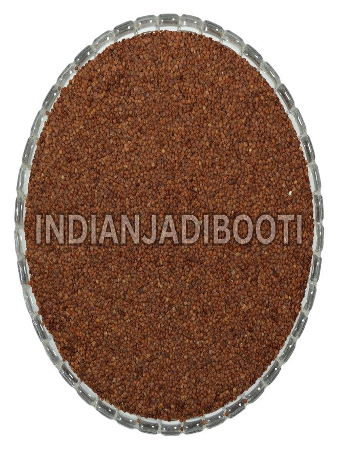 IndianJadiBooti Lajwanti Seeds (250g) | Chui Mui/Mimosa Pudica | Lajjalu | Natural Cooling Herb for Vitality & Men's Wellness | Touch-Me-Not Plant Seeds - Image 2